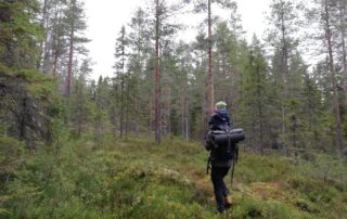 Vuxen med barn på axlarna går i skogen