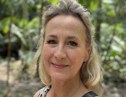 COP30: ”En besvikelse – men också positiva nyheter”